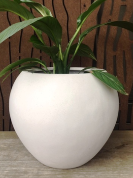 Evie Pot White